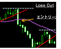 ロスカットの例