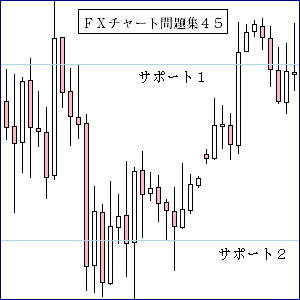 ＦＸレジスタンス・サポート４５