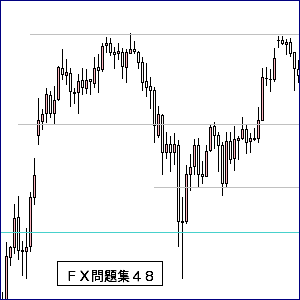 ＦＸレジスタンス・サポート４８