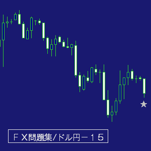 ＦＸドル円問題集１５